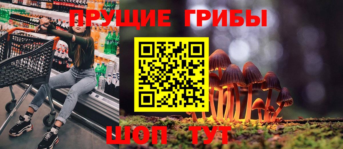 Галлюциногенные грибы GOLDEN TEACHER Звенигород