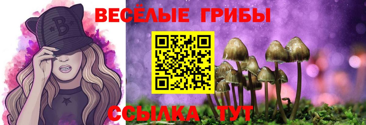 Псилоцибиновые грибы ЛСД  Вход с VPN  Звенигород 