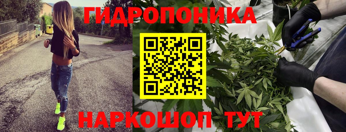 Бошки марихуана конопля  Бошки Шишки MAZAR  Вход с VPN  Звенигород  Конопля сатива 